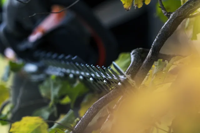 Antiadhezívny softvér